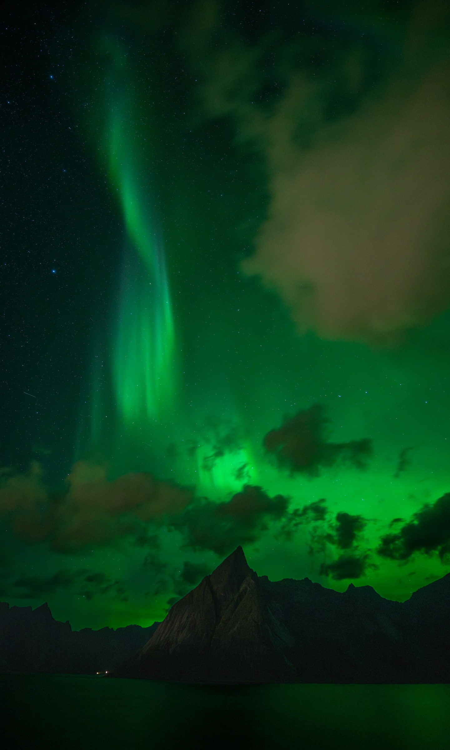 Green aurora dancing above a dark mountain in the Lofoten Islands