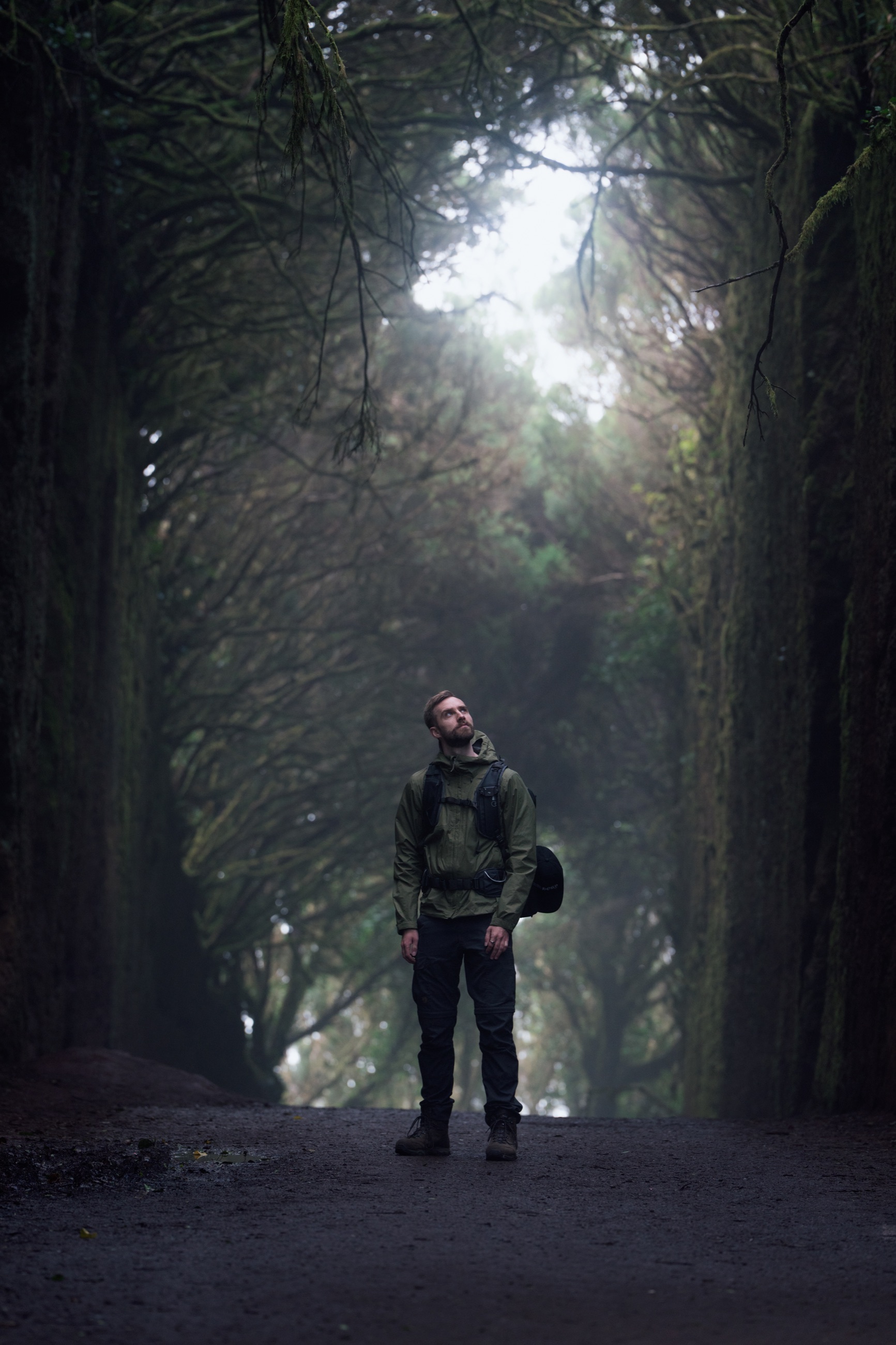 Person standing beneath a dense forest canopy in Tenerife